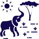 safari (1)